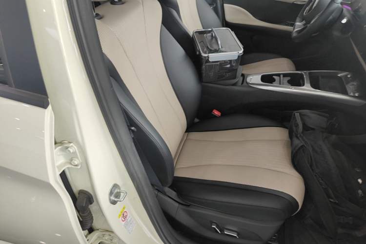 Used BYD Dolphin 2025 Intelligent Driving Version 410 km Fashion Edition Right Front Seat