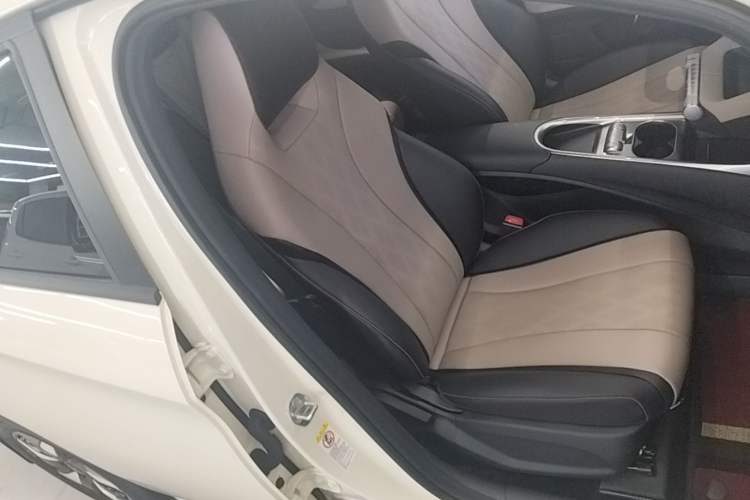 Used BYD Dolphin 2025 Smart Drive Version 420 km Freedom Edition Right Front Seat