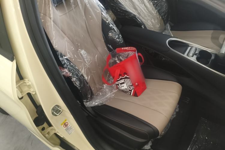 Used BYD Dolphin 2025 420km Free Edition Right Front Seat