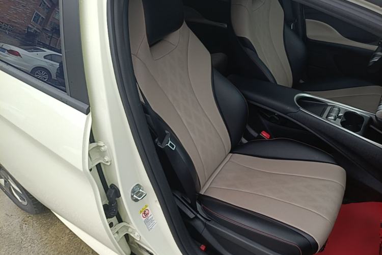 Used BYD Dolphin 2025 520km Range Knight Edition Right Front Seat