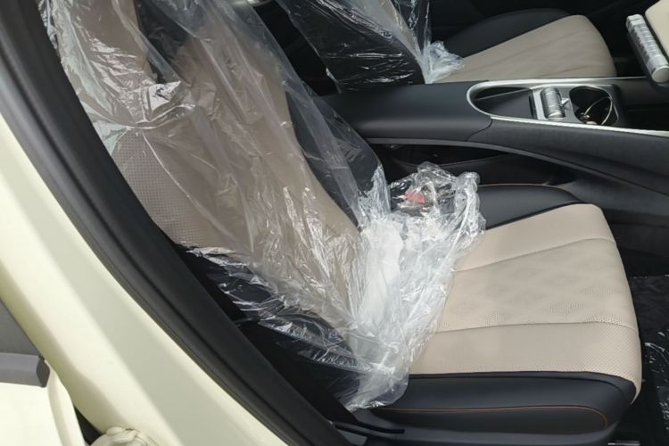 Used BYD Dolphin 2025 420km Free Edition Right Front Seat