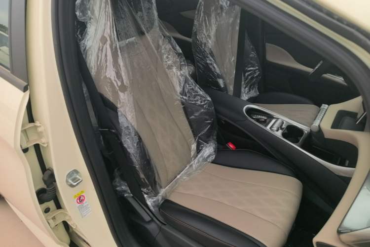 Used BYD Dolphin 2025 420km Free Edition Right Front Seat