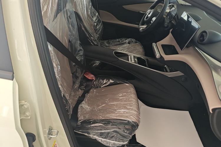 Used BYD Dolphin 2025 420km Free Edition Right Front Seat
