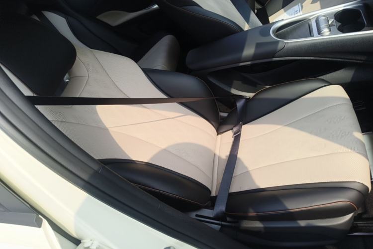 Used BYD Dolphin 2025 420km Free Edition Right Front Seat