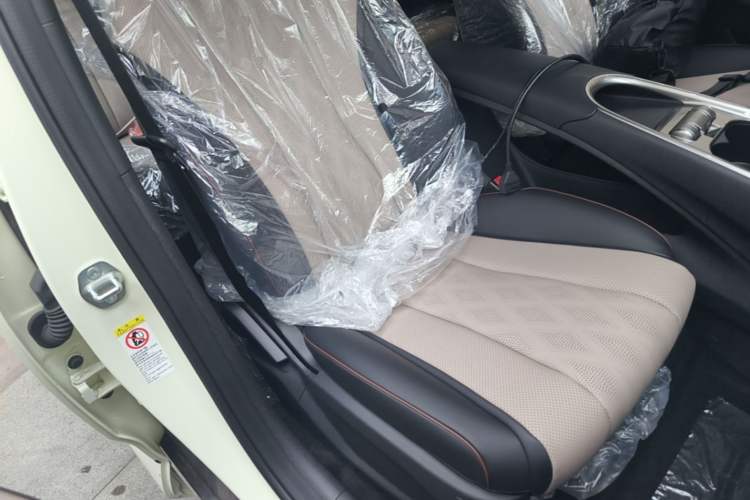 Used BYD Dolphin 2025 420km Free Edition Right Front Seat