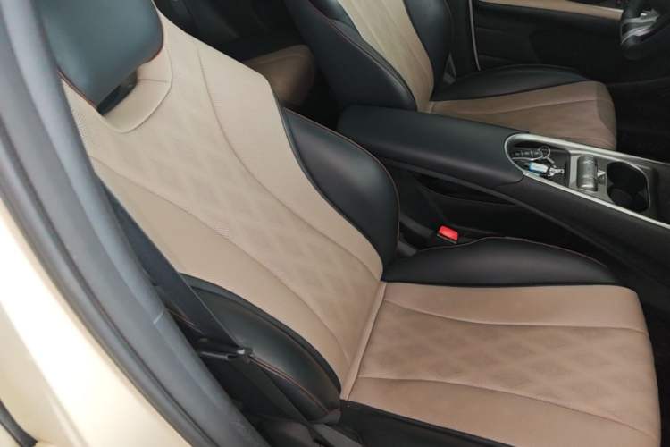 Used BYD Dolphin 2025 420km Fashion Edition Right Front Seat