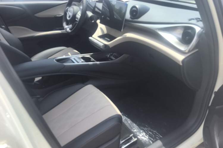 Used BYD Dolphin 2025 420km Free Edition Right Front Seat