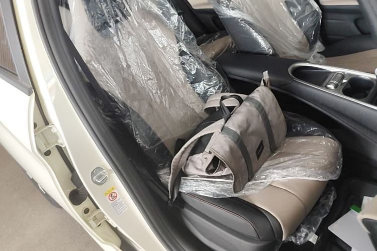 Used BYD Dolphin 2025 420km Free Edition Right Front Seat