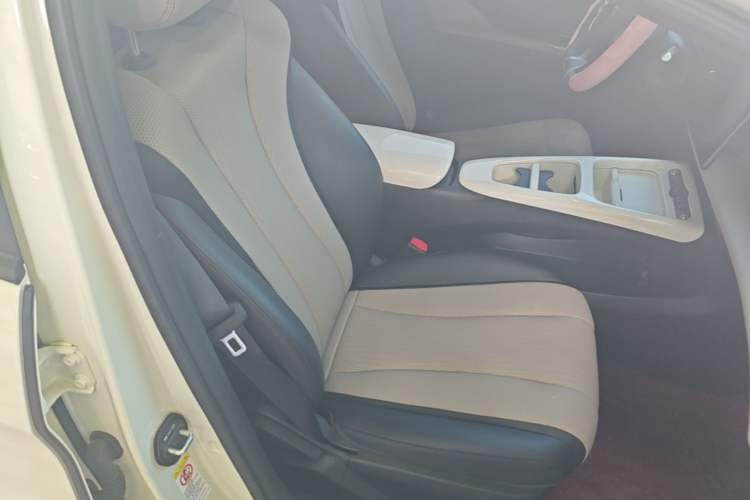 Used BYD Dolphin 2025 Smart Drive Version 420 km Freedom Edition Right Front Seat