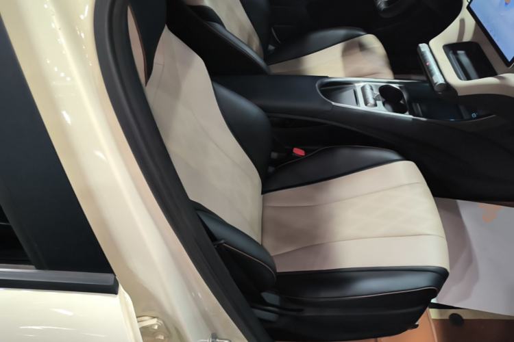 Used BYD Dolphin 2025 420km Free Edition Right Front Seat