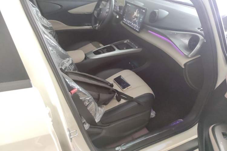 Used BYD Dolphin 2025 Smart Drive Version 420 km Freedom Edition Right Front Seat