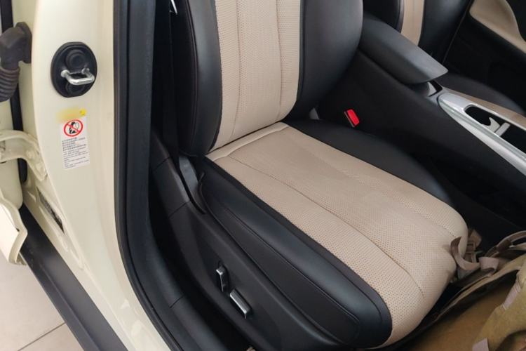 Used BYD Dolphin 2025 Intelligent Driving Version 410 km Fashion Edition Right Front Seat