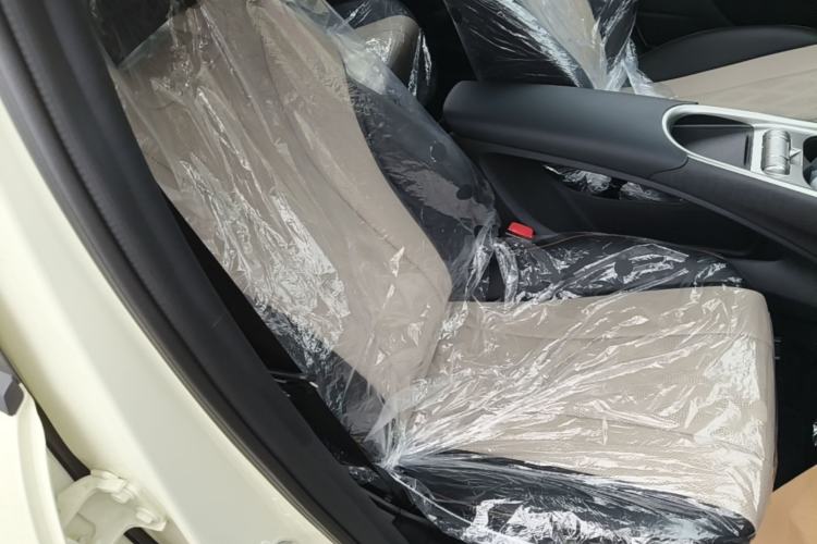 Used BYD Dolphin 2025 420km Free Edition Right Front Seat