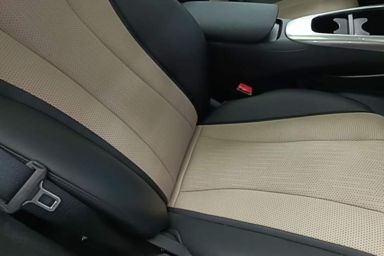 Used BYD Dolphin 2025 Intelligent Driving Version 410 km Fashion Edition Right Front Seat