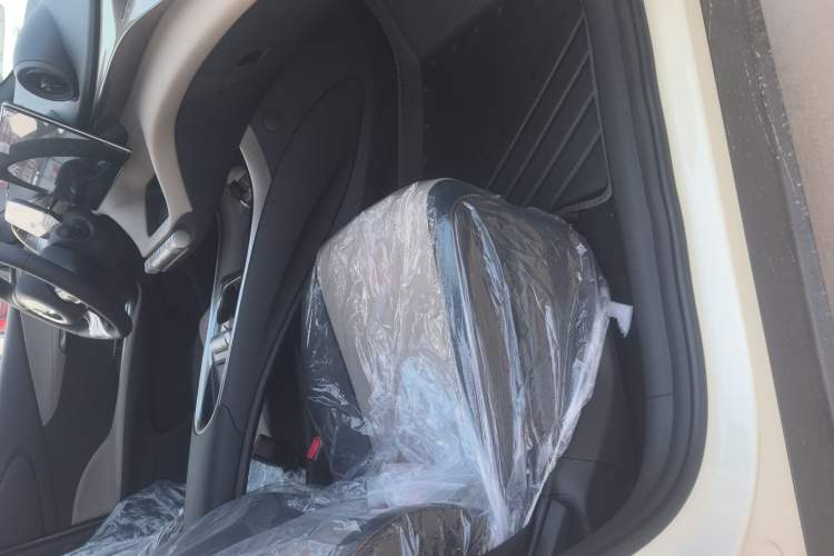 Used BYD Dolphin 2025 420km Free Edition Right Front Seat