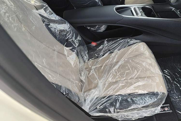 Used BYD Dolphin 2025 420km Free Edition Right Front Seat
