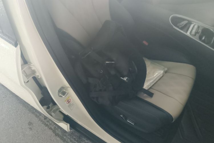 Used BYD Dolphin 2025 420km Fashion Edition Right Front Seat