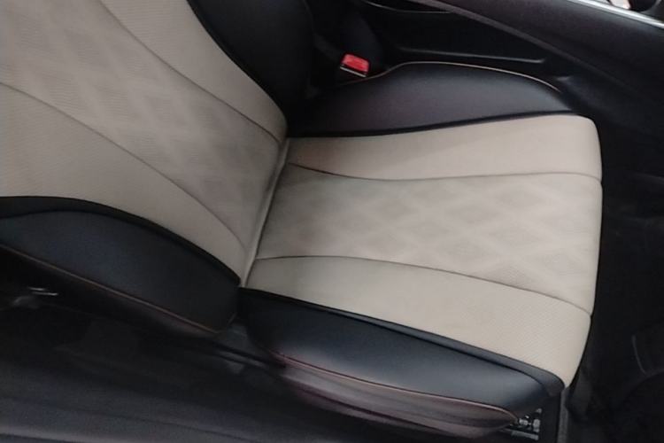 Used BYD Dolphin 2025 420km Free Edition Right Front Seat