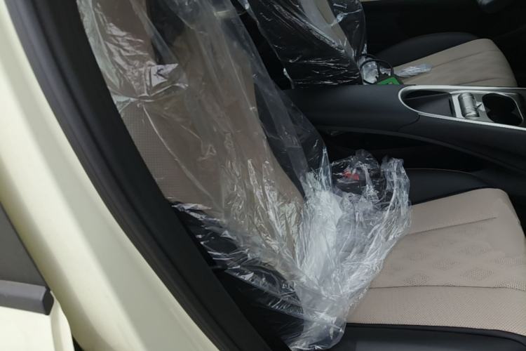 Used BYD Dolphin 2025 420km Free Edition Right Front Seat