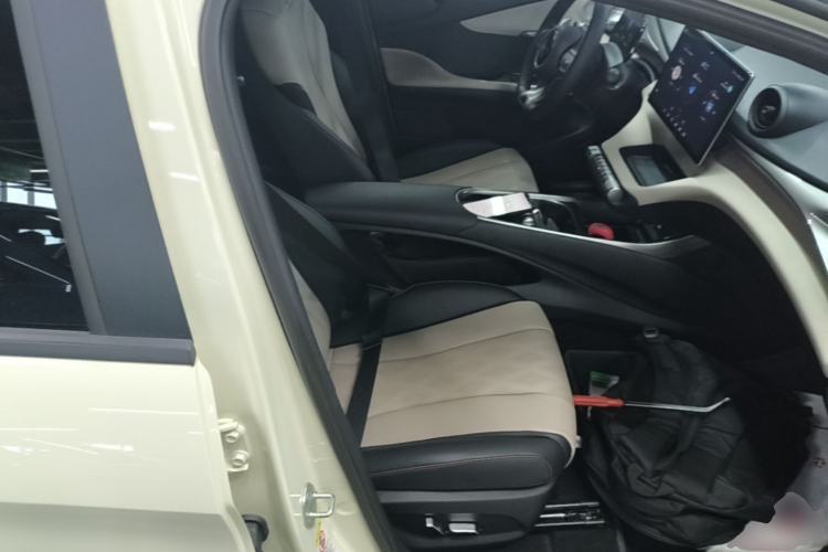 Used BYD Dolphin 2025 420km Fashion Edition Right Front Seat