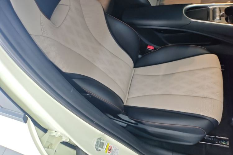 Used BYD Dolphin 2025 420km Free Edition Right Front Seat