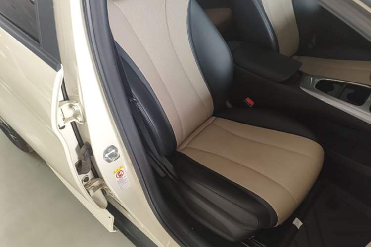 Used BYD Dolphin 2025 Smart Drive Version 420 km Freedom Edition Right Front Seat