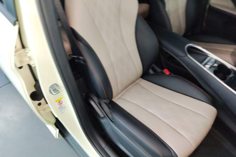 Used BYD Dolphin 2025 Smart Drive Version 420 km Freedom Edition Right Front Seat