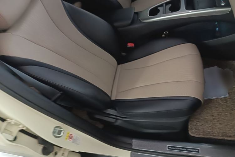 Used BYD Dolphin 2025 Smart Drive Version 420 km Freedom Edition Right Front Seat