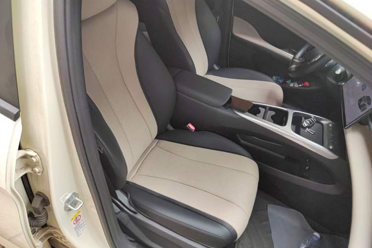 Used BYD Dolphin 2025 Smart Drive Version 420 km Freedom Edition Right Front Seat