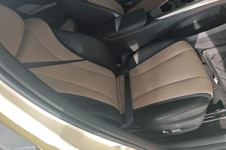Used BYD Dolphin 2025 Intelligent Driving Version 410 km Fashion Edition Right Front Seat