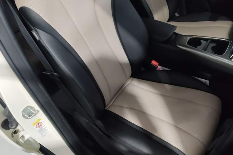 Used BYD Dolphin 2025 Intelligent Driving Version 410 km Fashion Edition Right Front Seat