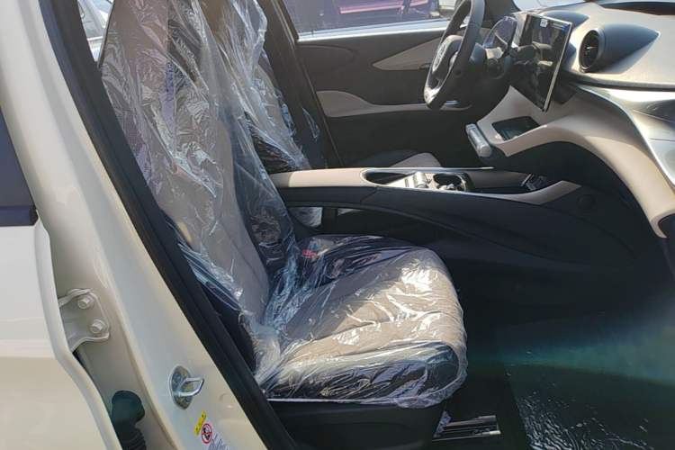 Used BYD Dolphin 2025 420km Free Edition Right Front Seat