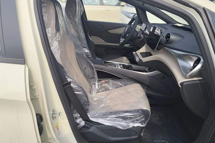 Used BYD Dolphin 2025 420km Free Edition Right Front Seat