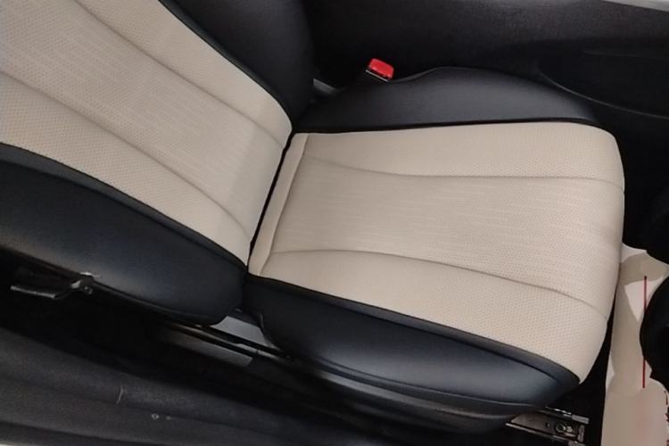 Used BYD Dolphin 2025 Smart Drive Version 420 km Freedom Edition Right Front Seat