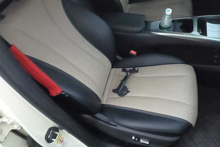 Used BYD Dolphin 2025 Intelligent Driving Version 520km Range Knight Edition Right Front Seat