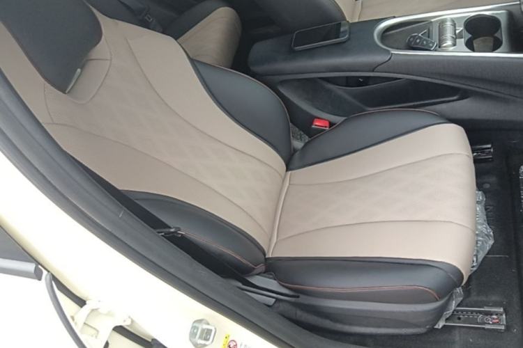 Used BYD Dolphin 2025 420km Free Edition Right Front Seat