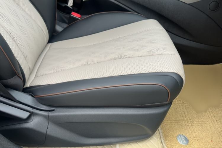 Used BYD Dolphin 2025 420km Free Edition Right Front Seat