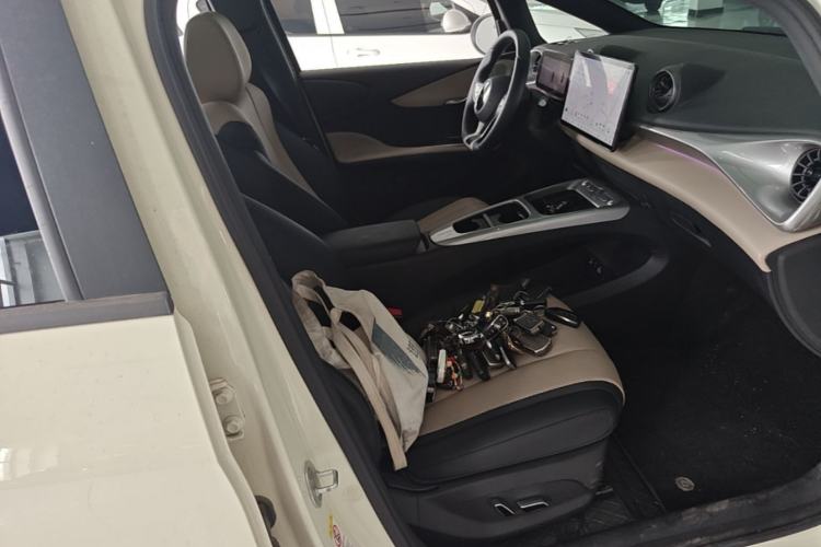 Used BYD Dolphin 2025 Intelligent Driving Version 410 km Fashion Edition Right Front Seat