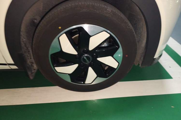 Used BYD Dolphin 2025 420km Free Edition Right Front Wheel Hub