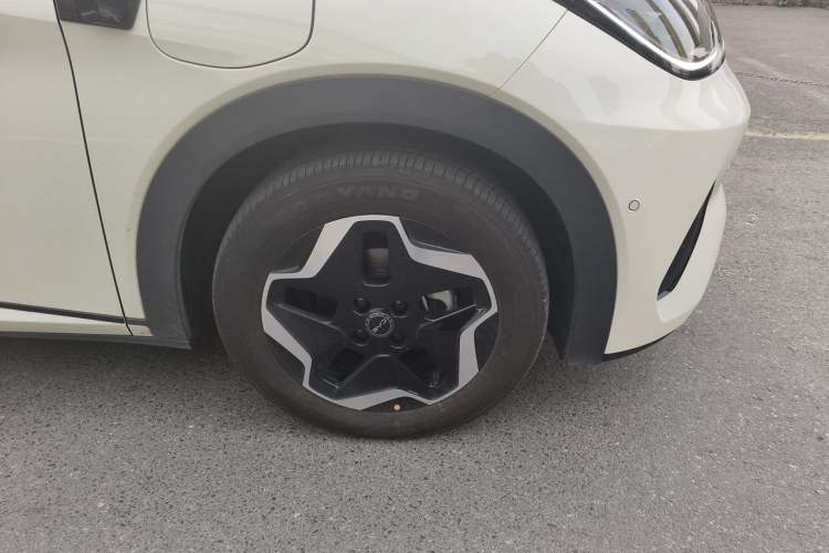 Used BYD Dolphin 2025 Smart Drive Version 420 km Freedom Edition Right Front Wheel Hub