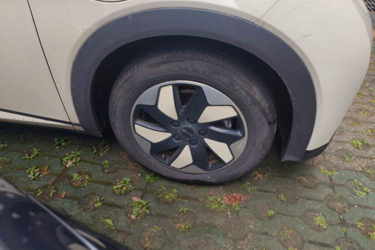 Used BYD Dolphin 2025 420km Free Edition Right Front Wheel Hub