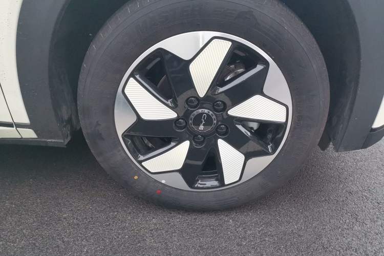 Used BYD Dolphin 2025 420km Free Edition Right Front Wheel Hub