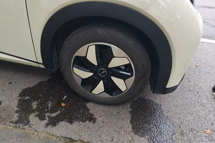 Used BYD Dolphin 2025 420km Free Edition Right Front Wheel Hub