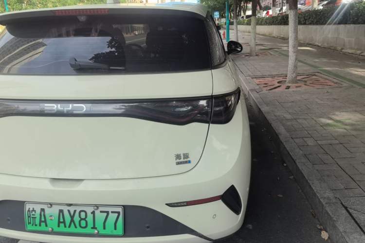 Used BYD Dolphin 2025 Smart Drive Version 420 km Freedom Edition Right Rear Taillight