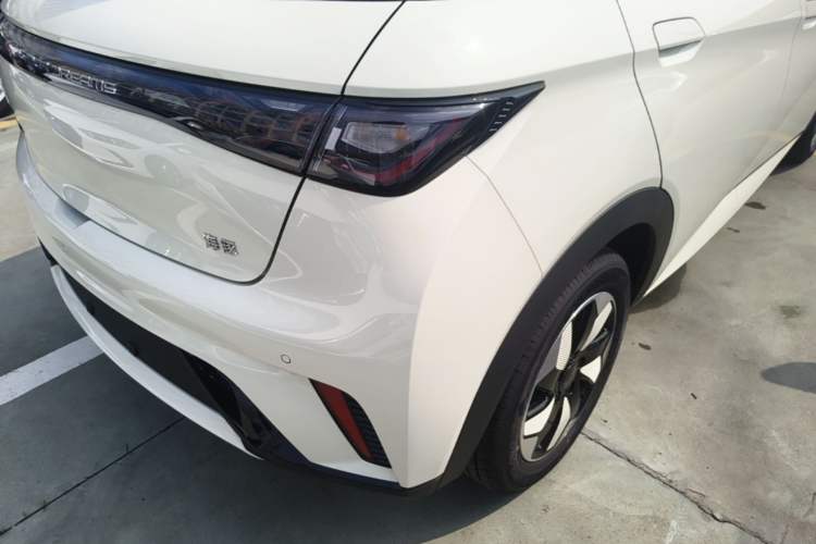 Used BYD Dolphin 2025 420km Free Edition Right Rear Taillight