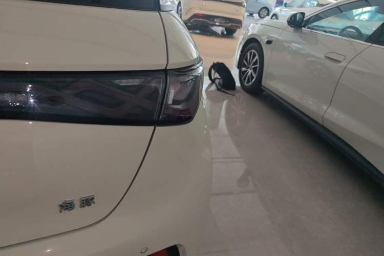 Used BYD Dolphin 2025 420km Fashion Edition Right Rear Taillight