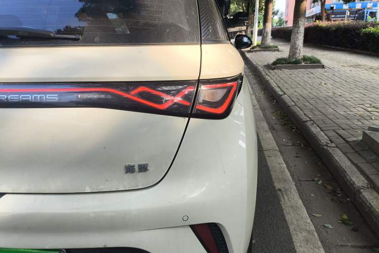 Used BYD Dolphin 2025 420km Free Edition Right Rear Taillight