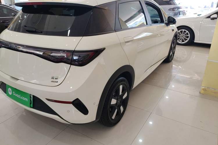 Used BYD Dolphin 2025 Intelligent Driving Version 410 km Fashion Edition Right Rear Taillight