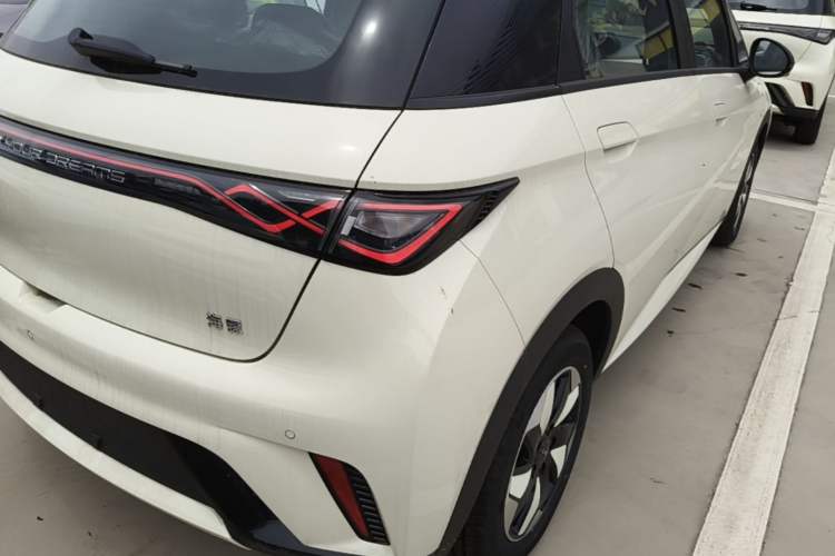 Used BYD Dolphin 2025 420km Free Edition Right Rear Taillight