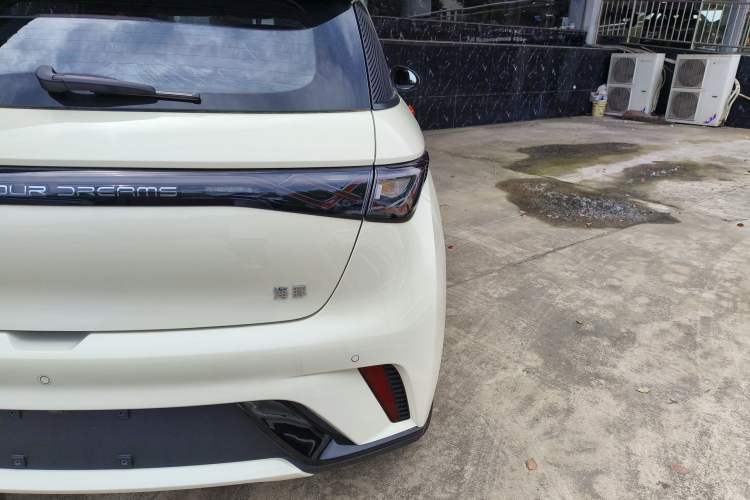 Used BYD Dolphin 2025 420km Free Edition Right Rear Taillight